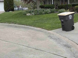 Nelson S.'s Lawn Care service result