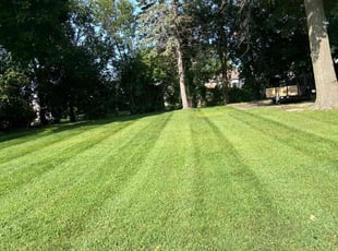 Louis B.'s Lawn Service service result