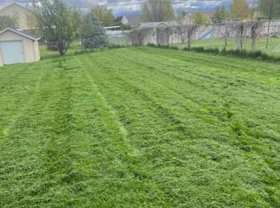 Darleen C.'s Lawn Mowing service result