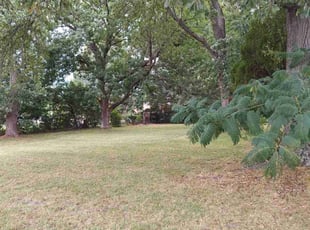 Winter H.'s Lawn Mowing service result