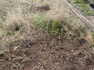 Cleanups by Matthew Smith for Chan O. in Colorado Springs, CO