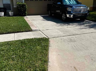 Shahana A.'s Grass Cutting service result