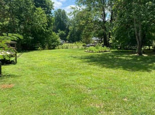 Rochelle M.'s Grass Cutting service result