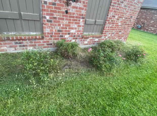 Weeding by Tarren Hanford for Rebecca R. in Zachary, LA