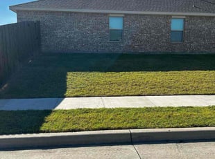 Robert H.'s Lawn Maintenance service result