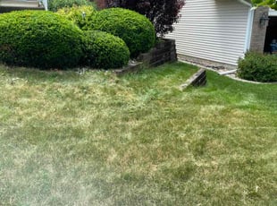 Bush Trimming by Casey Weaver for Chris R. in Des Moines, IA
