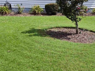 Bush Trimming by Kelvin Gooding for Dan S. in Virginia Beach, VA