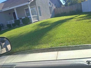 JULIUS W.'s Yard Cutting service result