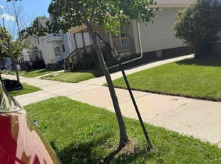 Leaf Removal by Jay Allen for Patricia C. in Racine, WI