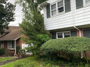 Bush Trimming by Aaron Kinchen for Michelle F. in Richmond, VA