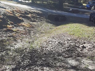Leaf Removal by Alan Hollis for Jamaal D. in Tallahassee, FL