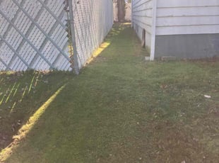 Carlos Z.'s Lawn Mowing service result
