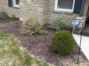 Weeding by Dave Ehrenberg for Jen P. in Columbus, OH