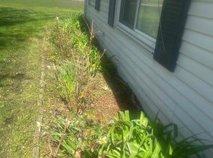Weeding by Shane Fellers for Joseph N. in Farmington Hills, MI