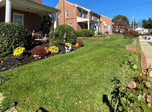 Carolyn S.'s Lawn Care service result