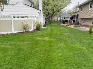 Nancy R.'s Lawn Maintenance service result