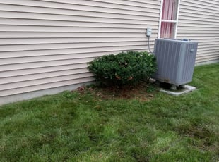 Bush Trimming by James Robinson for Richard M. in McCordsville, IN