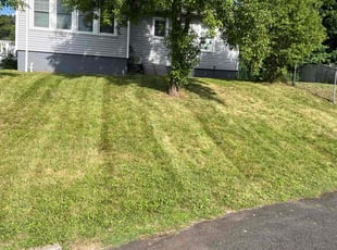 corin g.'s Lawn Maintenance service result