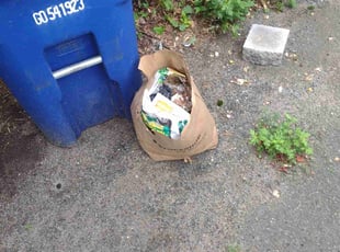 Cleanups by Matthew Spinelli for Mika M. in Bridgeport, CT