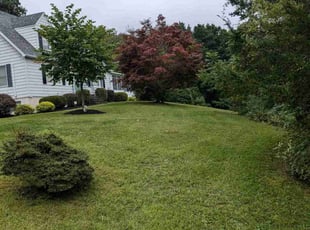 Lisa S.'s Lawn Mowing service result