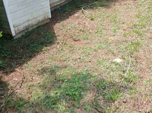 Cleanups by Joshua Walker for Alicia G. in Stone Mountain, GA