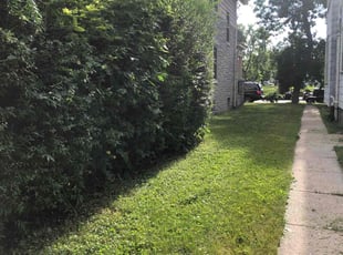 Bush Trimming by John McCardle for Warren H. in Milwaukee, WI