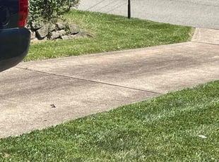 Sara F.'s Lawn Service service result
