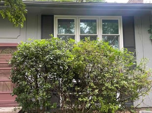 Bush Trimming by Grant Seura for Sarah F. in Kansas City, MO