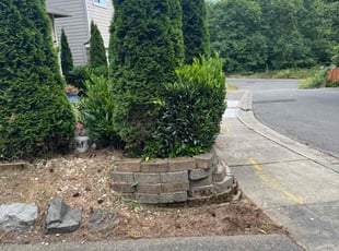 Bush Trimming by Marisa Blair for Latrina D. in Seattle, WA