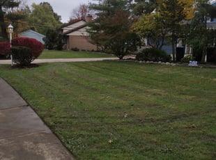 Leaf Removal by Anthony Coleman for Karl S. in Beachwood, OH