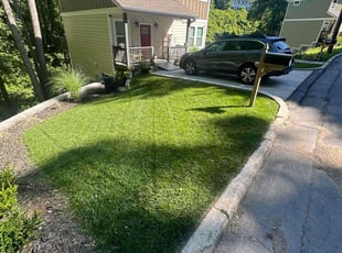 Hailey G.'s Lawn Maintenance service result