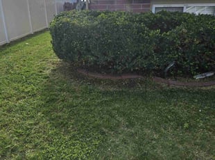 Bush Trimming by Ron Sullivan for Robert L. in Omaha, NE