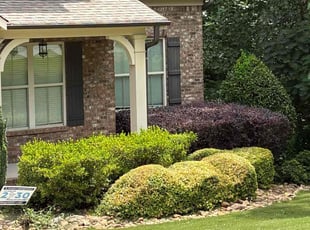Bush Trimming by Daniel Burse for John M. in Smyrna, GA