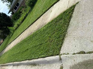 Kira N.'s Lawn Service service result
