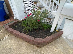 Bush Trimming by Dewayne Hopkins for Liv R. in Baltimore, MD