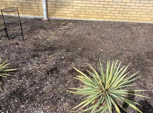 Weeding by Scott Basinger for Paula R. in Brooklyn, OH