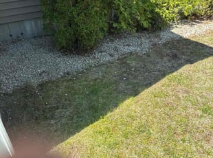 Weeding by Jude Paulin for Joseph M. in Windham, NH