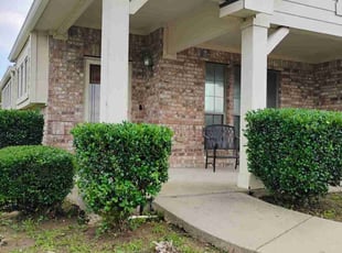 Bush Trimming by Kassandra Winters for Marissa R. in Mansfield, TX