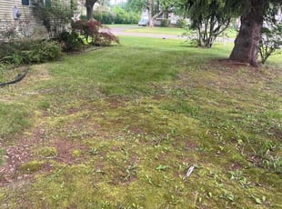 Cleanups by Ruben Fox for Brian S. in Southington, CT