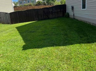 Vonnida K.'s Lawn Mowing Service service result