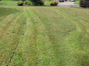 Cleanups by Shanta Privette for Jordan M. in Wake Forest, NC