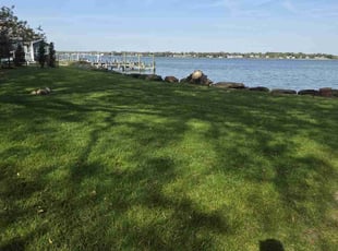 Teresa I.'s Lawn Service service result