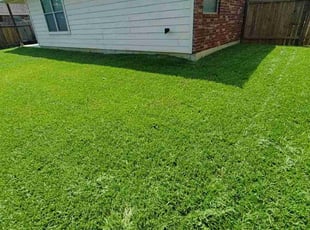 Mary C.'s Lawn Service service result