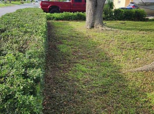 Bush Trimming by Kyle Handville for Barbara B. in Largo, FL