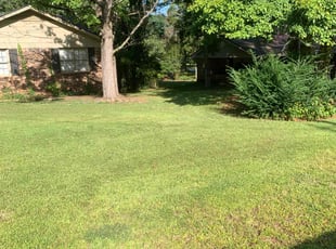 Linda L.'s Yard Cutting service result