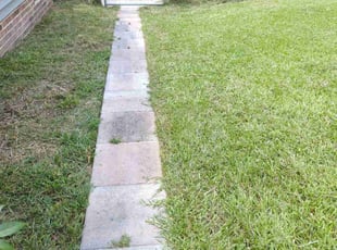 Nanette S.'s Lawn Maintenance service result
