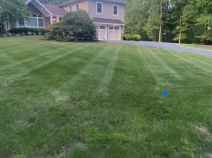 Calvin w.'s Lawn Mowing service result
