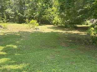 Weeding by Nick Whipkey for THEODORE J. in Lincolnton, NC