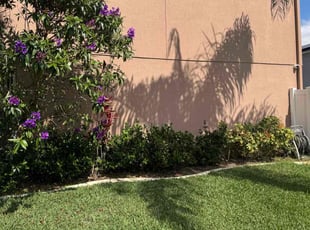Bush Trimming by James Ramey for Angel C. in Orlando, FL