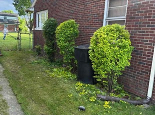 Bush Trimming by Andrew Schwartz for Belinda F. in Detroit, MI